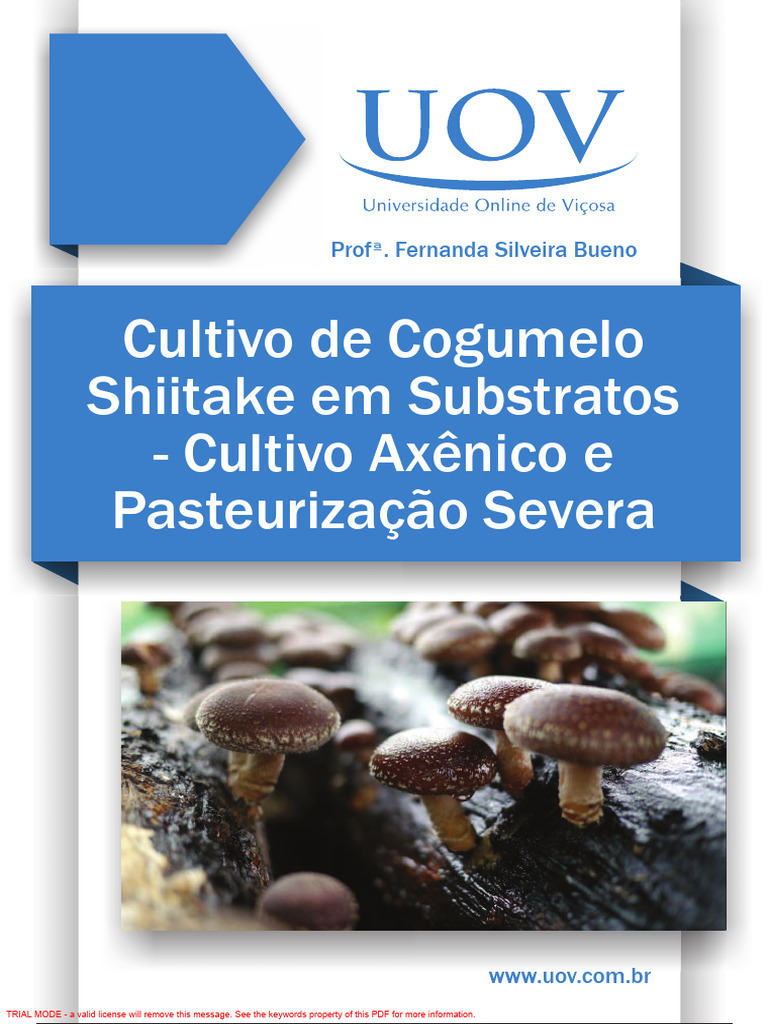 Cogumelo Shitake Cabeça Desidratado 100g / Seco Inteiro