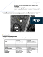 Muniz Toledano Estefania FG01 Tarea