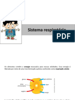 Sistema Respiratório