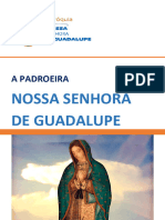 Ahistoriade Guadalupe