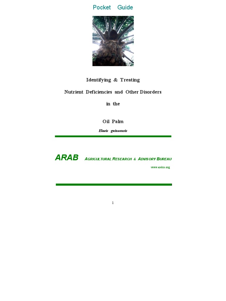 Nutrient - Oil Palm | PDF | Fertilizer | Soil