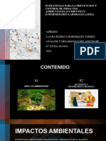 Estrategias para La Prevencion y Control de Impactos