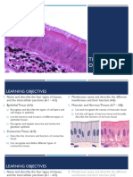 Ch4 TISSUES