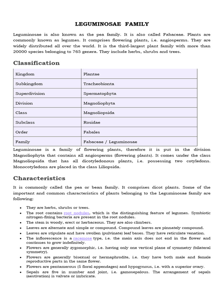 Overview of Leguminosae Family | PDF | Leaf | Legume