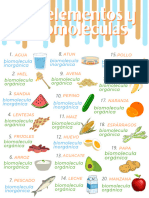 Bioelementos y Biomoleculas 