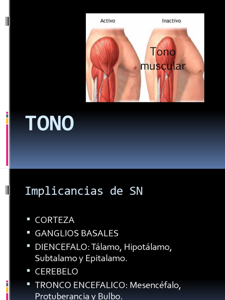 TONO PDF Neurociencia Fisiología