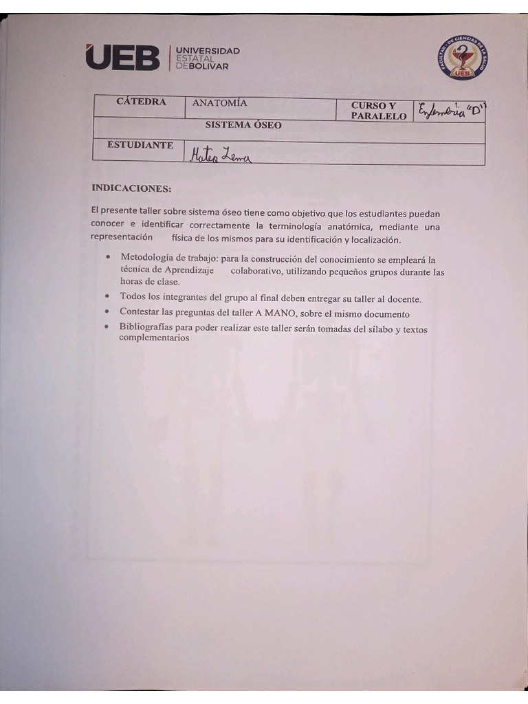 Pdf2 Anatomía Pdf