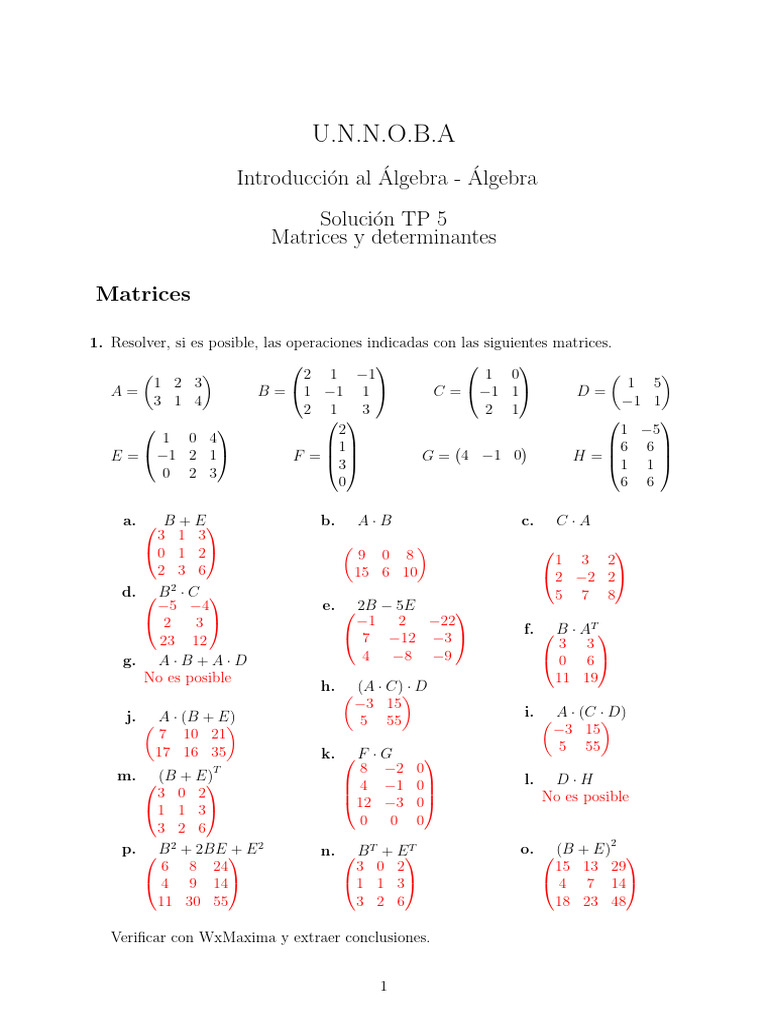 Sol matrices y determinantes | PDF | Álgebra | Matemáticas