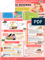 Infografia - Lactancia Materna