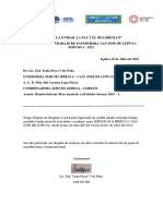 Plan Anual de Enfermeria San Jose de Lupuna 2023 PDF