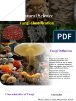 Fungi Classification and Animal Kingdom