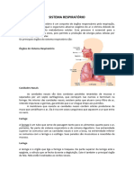 Sistema Respiratório