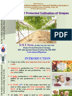 Protected Cultivation of Grapes 1623232731