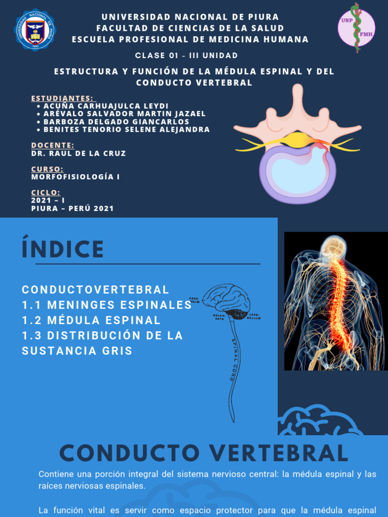 Clase 1 Médula Espinal Pdf