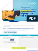PDF Financiera