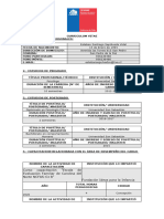 Curriculum Formato Sename E.S