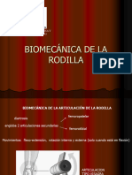 Biomecánica de La Rodilla