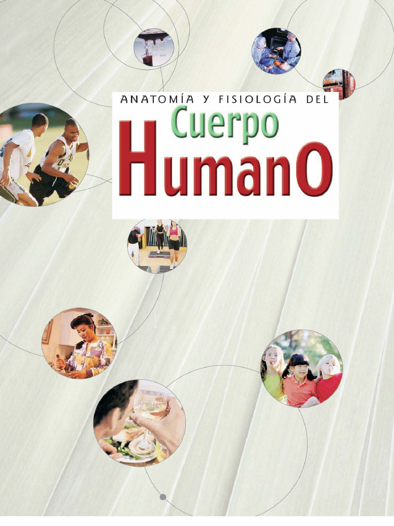 Anatomia Y Fisiologia Pdf Pdf