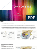 Anatomy of Eyes-Biopsy