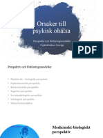 Orsaker Till Psykisk Ohälsa - Perspektiv Och Förklaringsmodeller