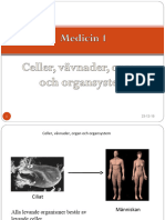 Celler Vävnader Organ Och Organsystem 2
