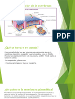 2.1 Ppoint Estrcutura, Funcion y Transporte A Traves de Membrana 312-1