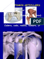 13 - traumatismos articulares