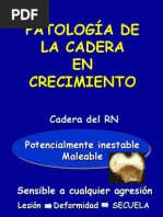 27.1 - patología de la cadera II (generalidades y DDC)