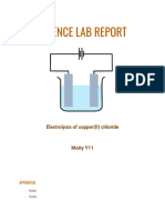 Lab Report Template