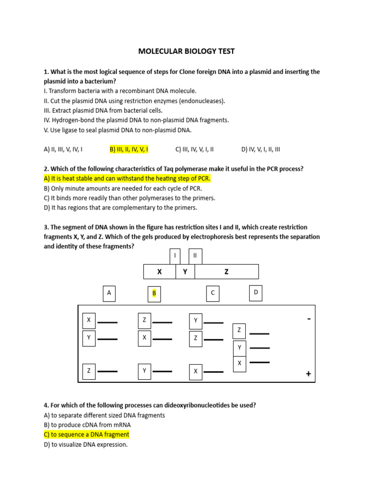 MOLECULAR BIOLOGY TEST PDF Polymerase Chain Reaction