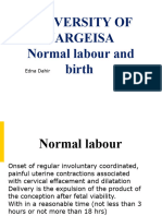 Normal Labour and Birth Uoh