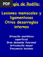 30 - patología de rodilla II