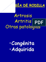 31- patología de rodilla III