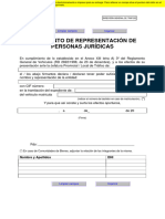 2.documento Representacion Persona Juridica