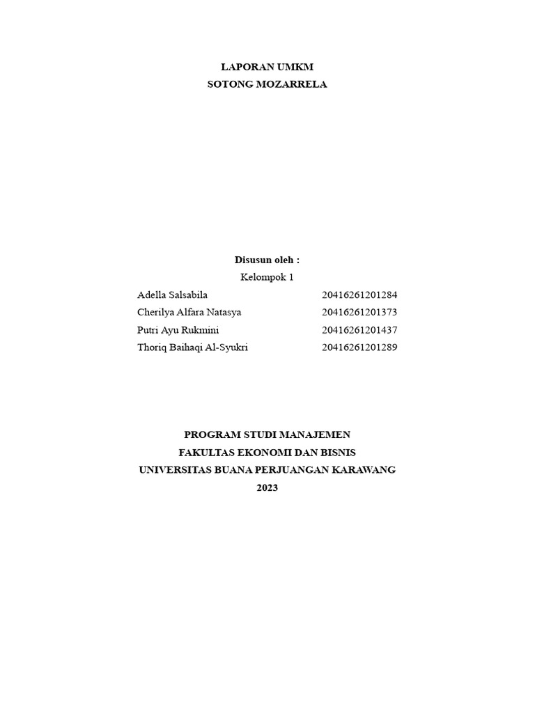 laporan-umkm-pdf