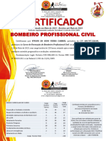 Certificado Bombeiro Civil t30 - Viviani Da Silva Vieira Carriel