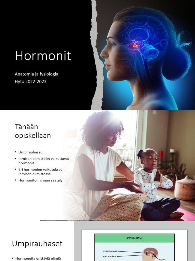Hormonit | PDF