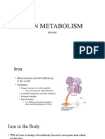 Iron Metabolism Basic DR Hem