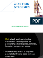 Pengkajian Fisik Sistem Integumen