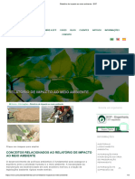 Relatório de Impacto Ao Meio Ambiente - ECP