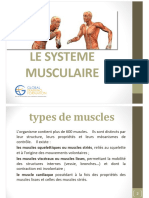 Syst Musculaire