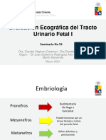 Seminario 55 Evaluacion Ecografica Del Tracto Urinario Fetal I - Archivo