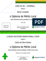 Certificado Diploma de Mérito Local - Escoteiros do Brasil - Região de São Paulo