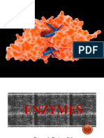 Enzymes - 1