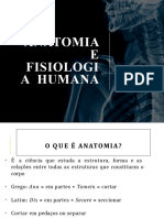 Anatomia Efisio Log I A