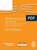 Empres Strategic Plan FR