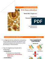 Tema 10a - Carbonaticas Diagenesis Procesos 21-22