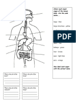 Organs Colouring Worksheet