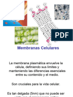 2-01 Membranas Celulares