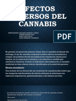 Efectos Adversos Del Cannabis